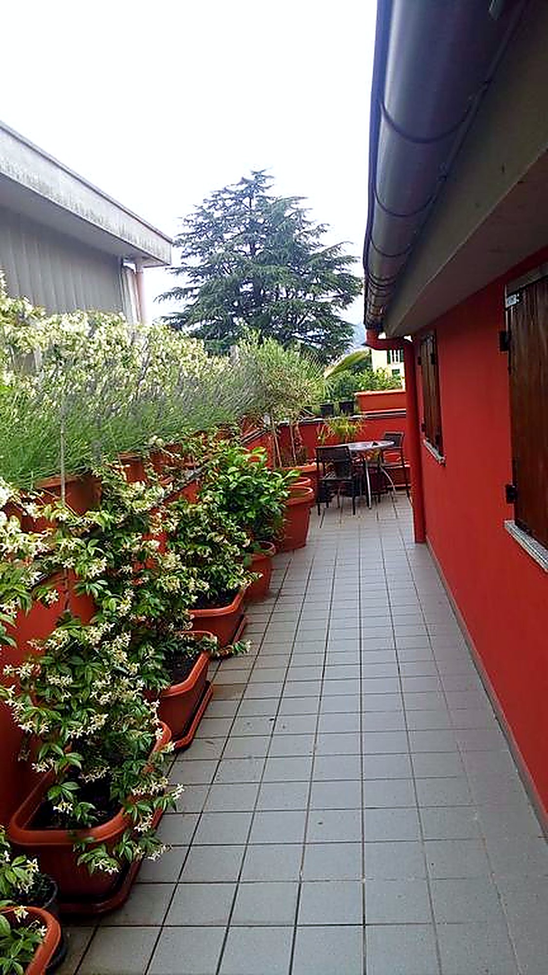 La balconata fiorita